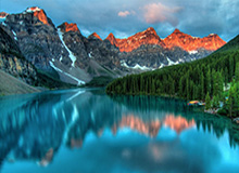 鲍尔22+7+5布莱克24分 黄蜂客场战胜魔术